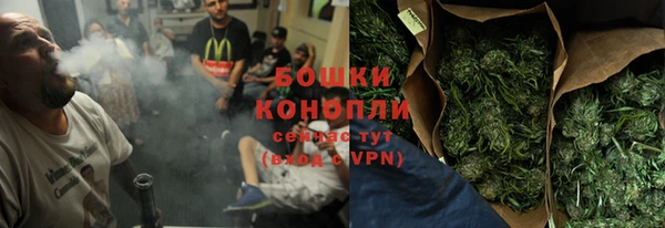 стаф Козельск