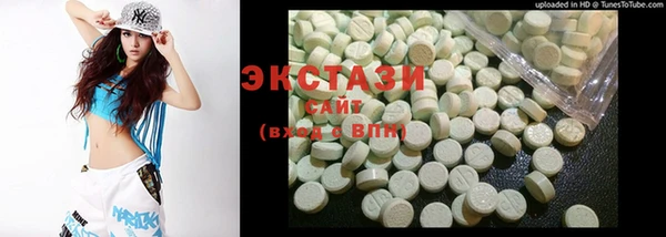 индика Краснотурьинск