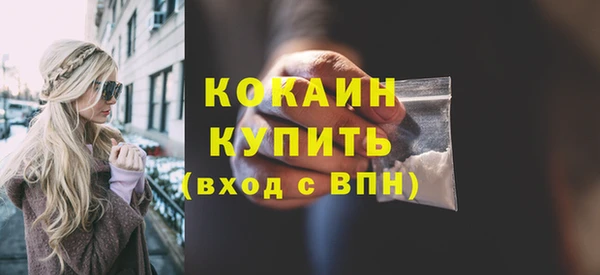 индика Краснотурьинск