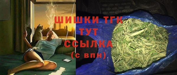 индика Краснотурьинск