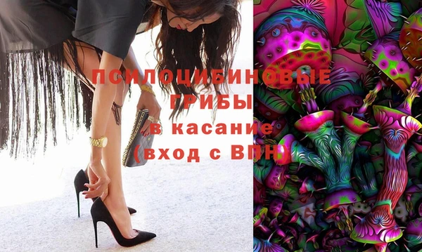 стаф Козельск