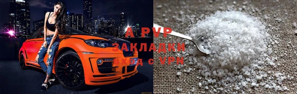 стаф Козельск