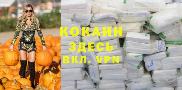 стаф Козельск